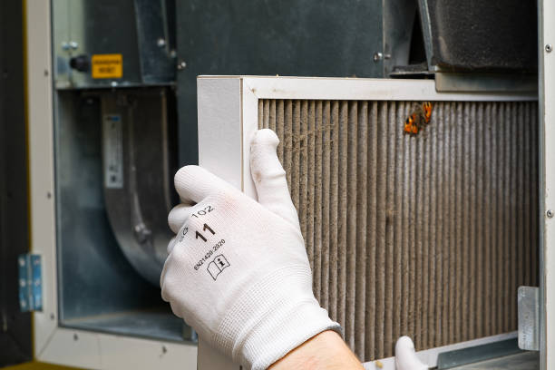 Best Air Quality Test  in Crivitz, WI