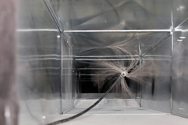 Best Air Duct Mold Removal  in Crivitz, WI