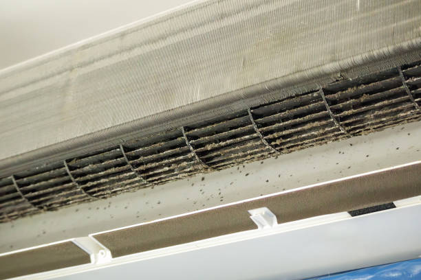 Best Best Air Duct Cleaning Near Me  in Crivitz, WI